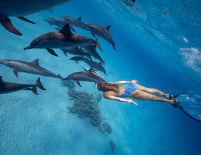 Hurghada or Makadi: Discover the Magic of Dolphin House