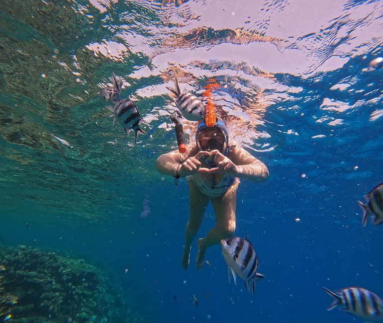 Hurghada or Makadi: Discover the Magic of Dolphin House - Snorkeling at two Red Sea spots without feeling rushed