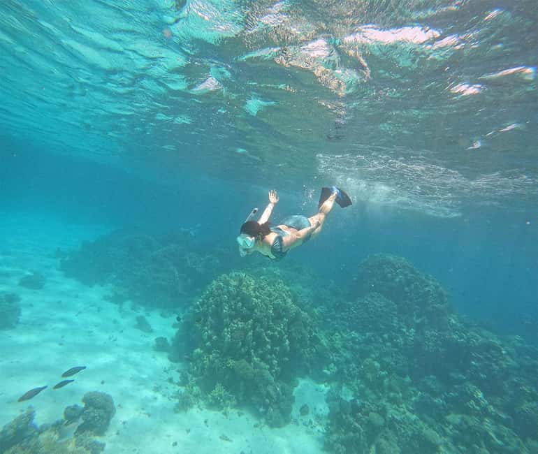 Hurghada or Makadi: Discover the Magic of Dolphin House - Price and value: why about $27 can still feel fair