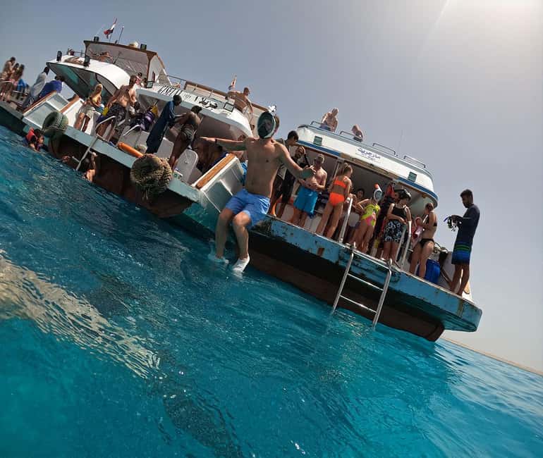 Hurghada or Makadi: Discover the Magic of Dolphin House - Tips before you go, so your Red Sea day stays smooth