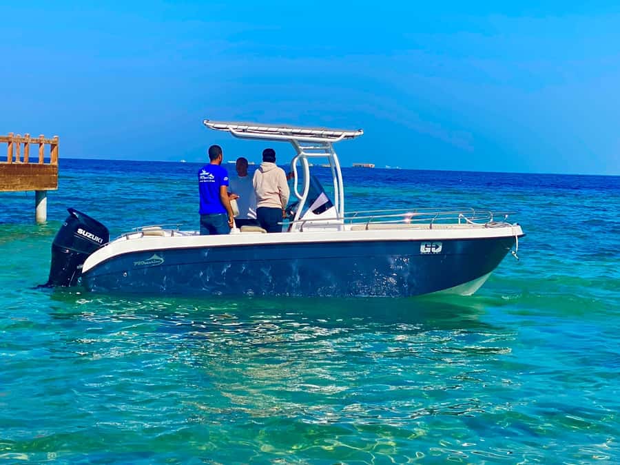 Hurghada: Orange Bay Dolphin Watching, Snorkeling & Lunch - Tips to help you enjoy it more on the day
