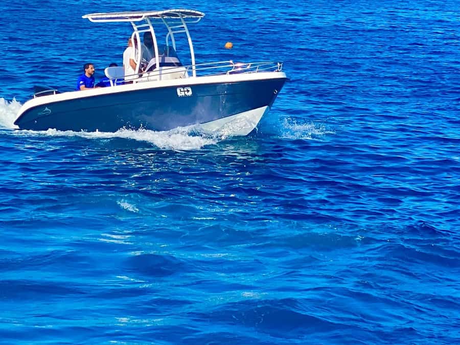 Hurghada: Orange Bay Dolphin Watching, Snorkeling & Lunch - Who should book, and who should skip this day at sea