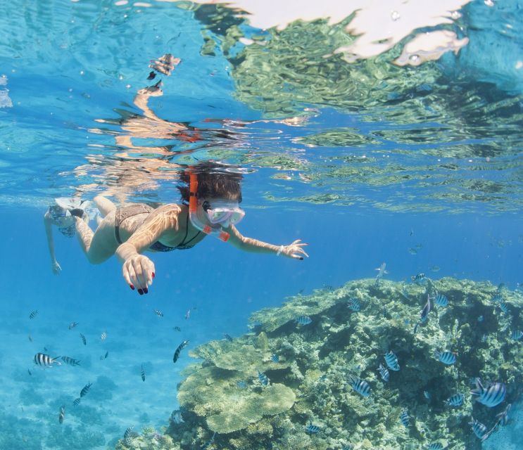 Hurghada: Orange Bay & Giftun Island, Snorkeling With Lunch - Pickup timing and the real pacing of a half day or full outing
