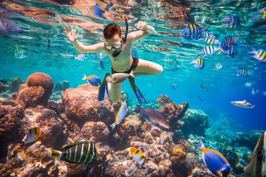 Hurghada: Orange Bay Island Boat Trip w/ Breakfast and Lunch - The bottom line: should you book Zanetta Tours for Orange Bay?
