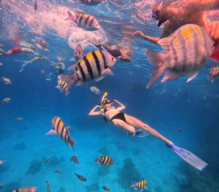 Hurghada: Orange Bay Island Boat Trip w/ Breakfast and Lunch - Who this trip fits best, and who should rethink it