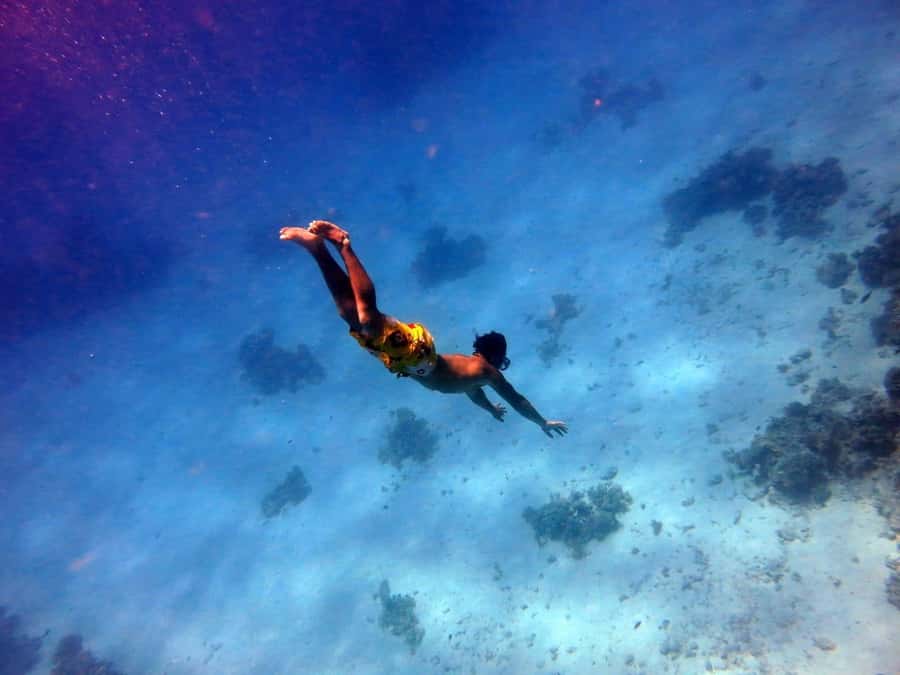 Hurghada: Premium Island Cruise with Lunch and snorkeling - Getting There Smoothly: Pickup Timing and Transfer Reality