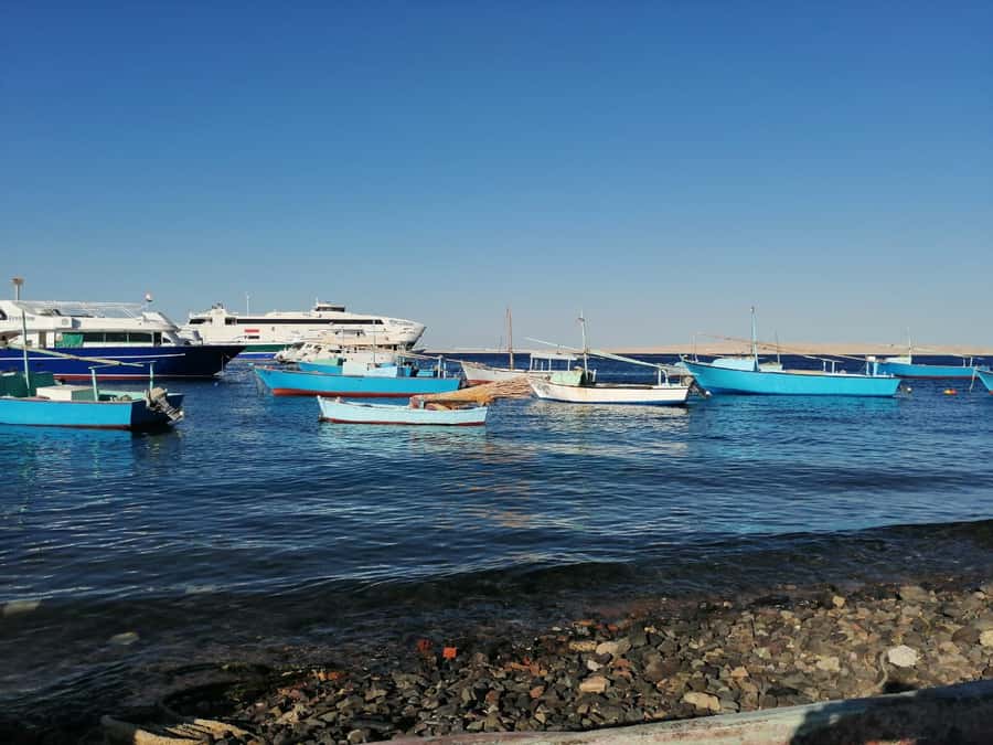 Hurghada: Private Guide City Tour & Shopping Stop - Hurghada Fish Market in the fishing village, where you see daily life