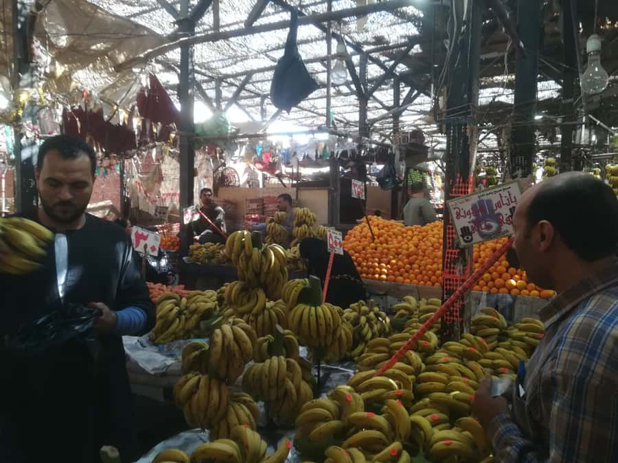 Hurghada: Private Guide City Tour & Shopping Stop - Start at New Marina for the quick orientation and sea views
