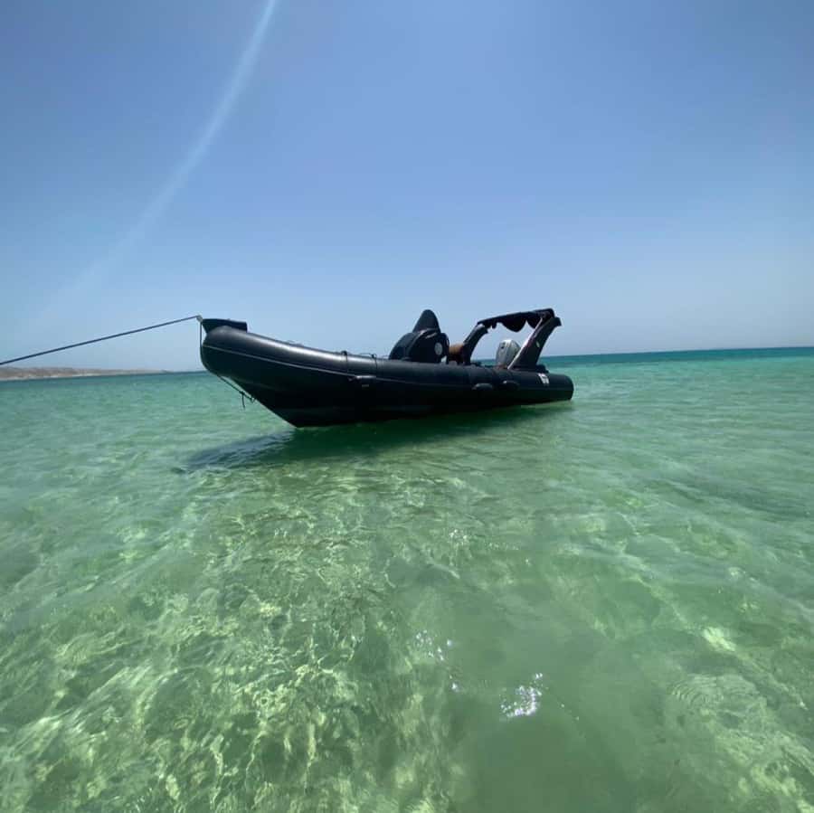 Hurghada: Private Speedboat to Dolphin House with Pickup - Getting from Hurghada to open water fast, with less hassle