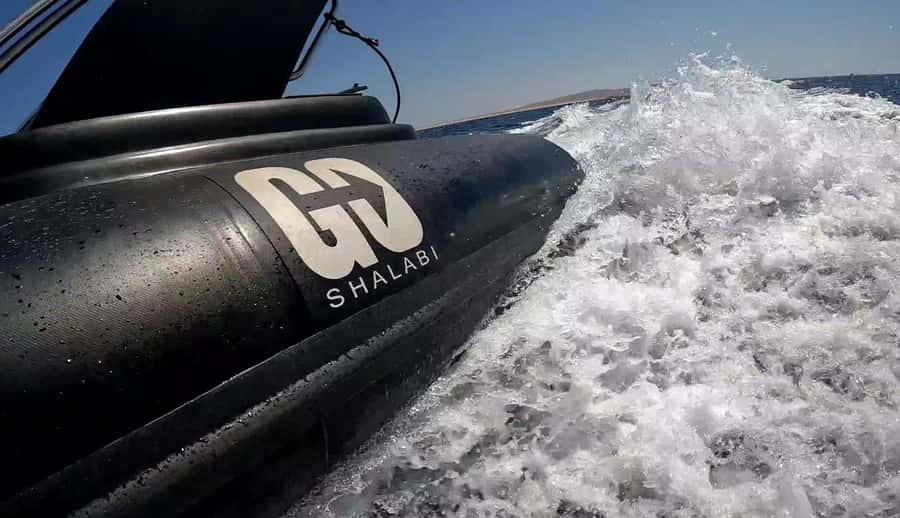 Hurghada: Private Speedboat to Dolphin House with Pickup - The reef variety beyond Dolphin House, plus an island and a shipwreck stop