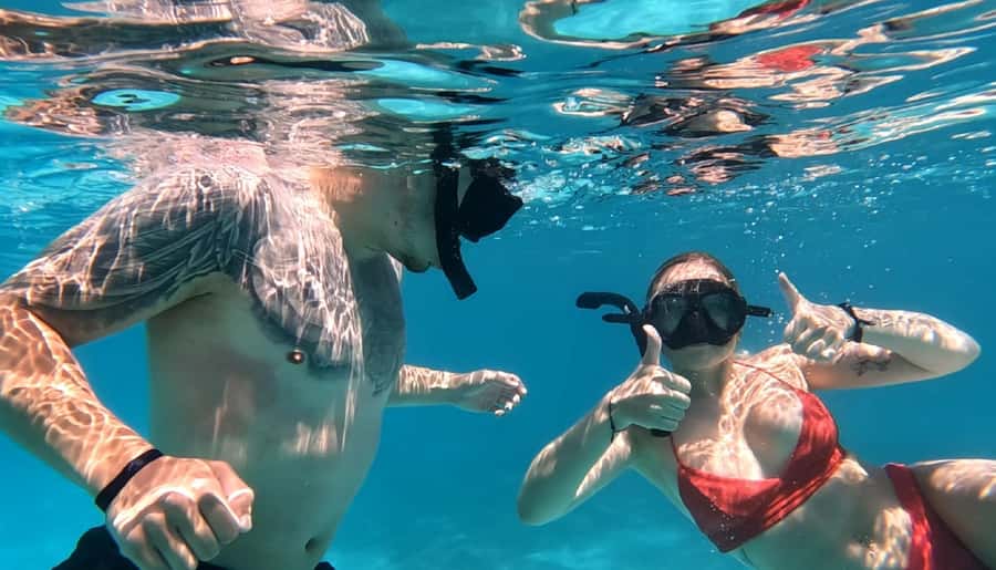 Hurghada: Private Speedboat to Dolphin House with Pickup - Who this trip fits best, and who should consider another plan