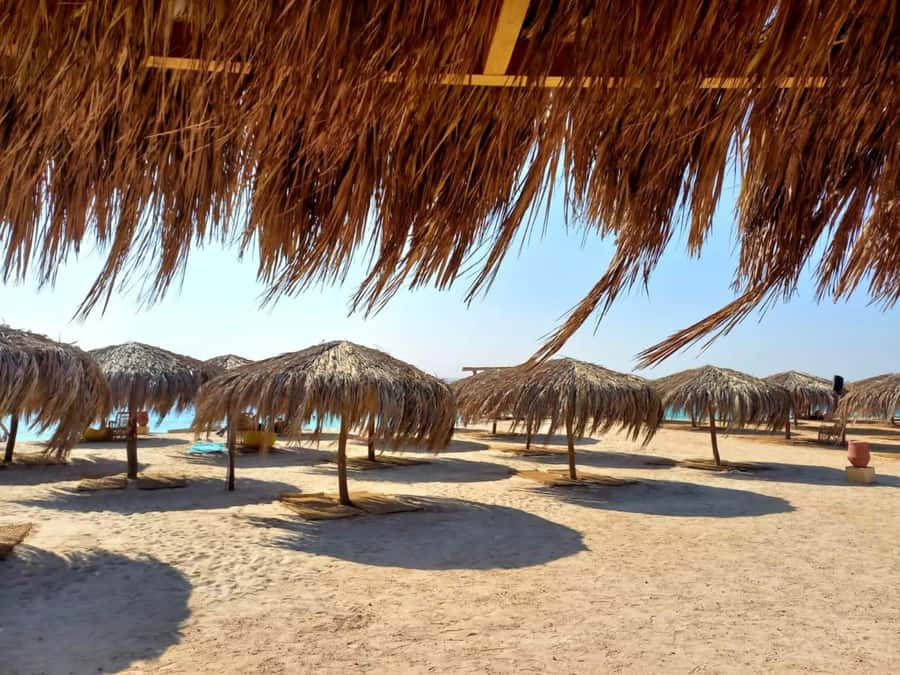 Hurghada: Private Speedboat to Magawish Island - Magawish Island beach time, swim breaks, and food that works