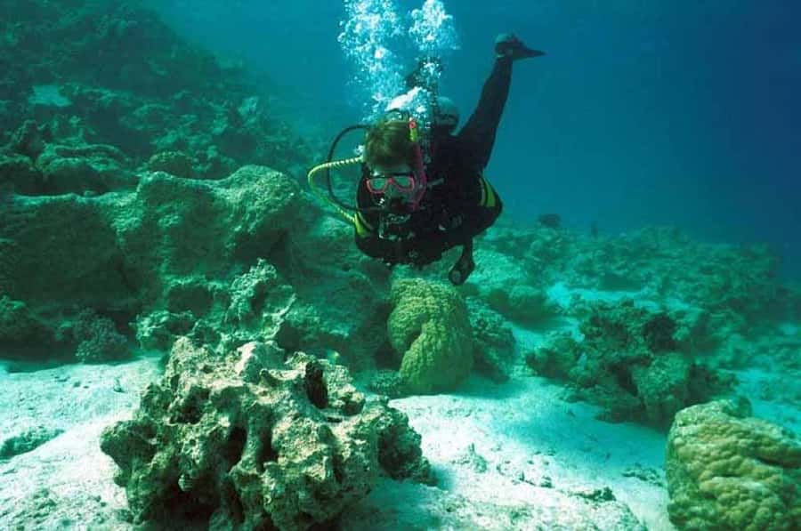 Hurghada, Professionals Diving in Open Water Tour with Lunch - Key things to know before you go