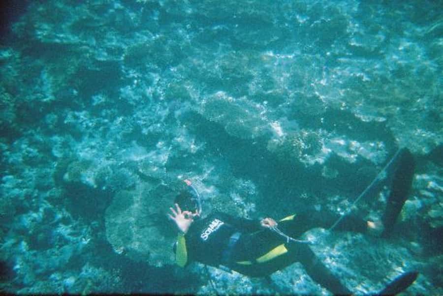 Hurghada, Professionals Diving in Open Water Tour with Lunch - Pickup, check-in, and the short boat ride that sets the tone