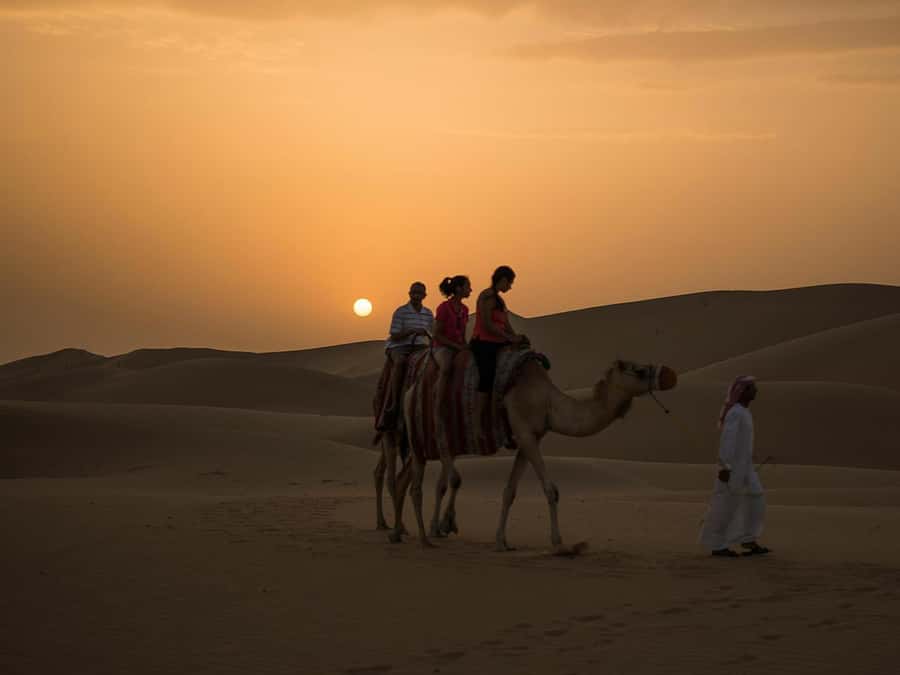 Hurghada: Quad Bike, Camel, Show, Dinner, & Stargazing Trip - Why This Hurghada Quad, Camel, Show, Dinner, and Stargazing Mix Works