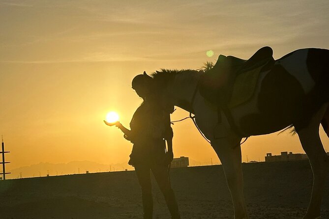 Hurghada: Red Sea & Desert Horse Riding Tour with Swimming - The Optional Swim with Your Horse in the Red Sea