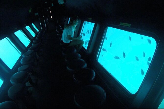 Hurghada: Royal Seascope Submarine Cruise with Snorkel Stop - What you’ll actually see from the submarine windows