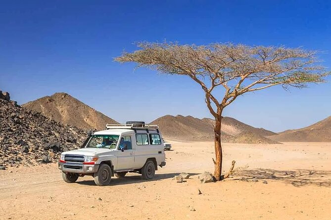 Hurghada: Safari 4x4 Jeep, Camel Ride, Dinner & Star Watching - Sunset To Candlelit BBQ: Dinner That Makes The Night Feel Real