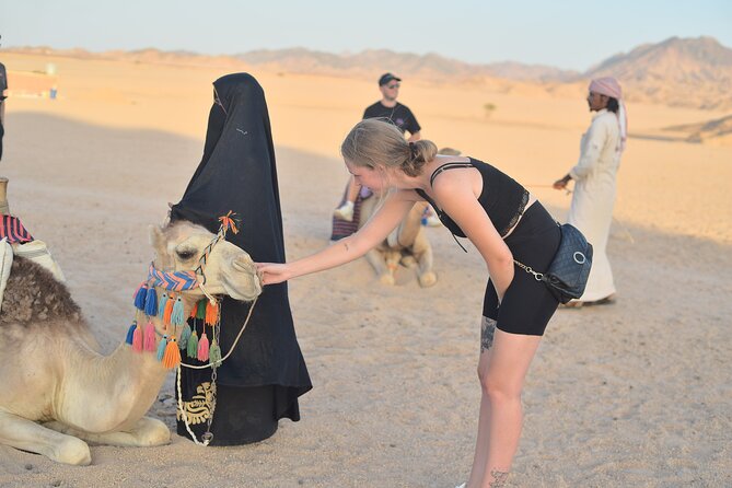 Hurghada: Safari 4x4 Jeep, Camel Ride, Dinner & Star Watching - What You Might See When The Sky Gets Dark