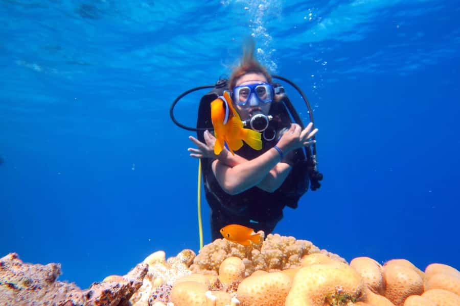Hurghada: Scuba Diving cruise with lunch & pickup - Key points to know before you go