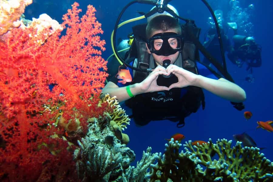 Hurghada: Scuba Diving cruise with lunch & pickup - Hurghada pickup, marina time, and why this 6 hours can feel smooth