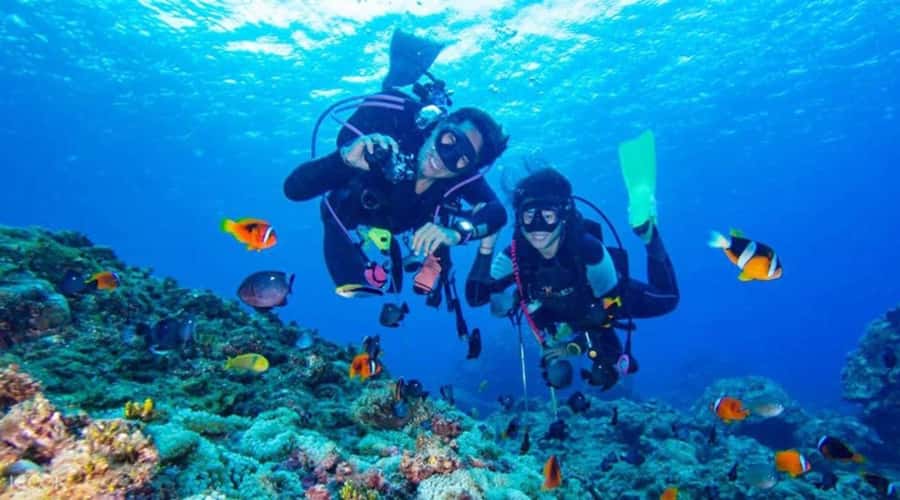 Hurghada: Scuba Diving cruise with lunch & pickup - Choosing your scuba session: beginner-friendly and adjustable timing