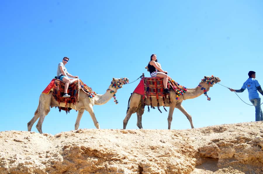 Hurghada: Sea & Desert Camel Ride w/Dinner, Show, Stargazing - Key Highlights You’ll Actually Feel