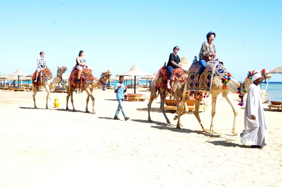 Hurghada: Sea & Desert Camel Ride w/Dinner, Show, Stargazing - Sunrise Breakfast Option: Early Light and a Softer Mood