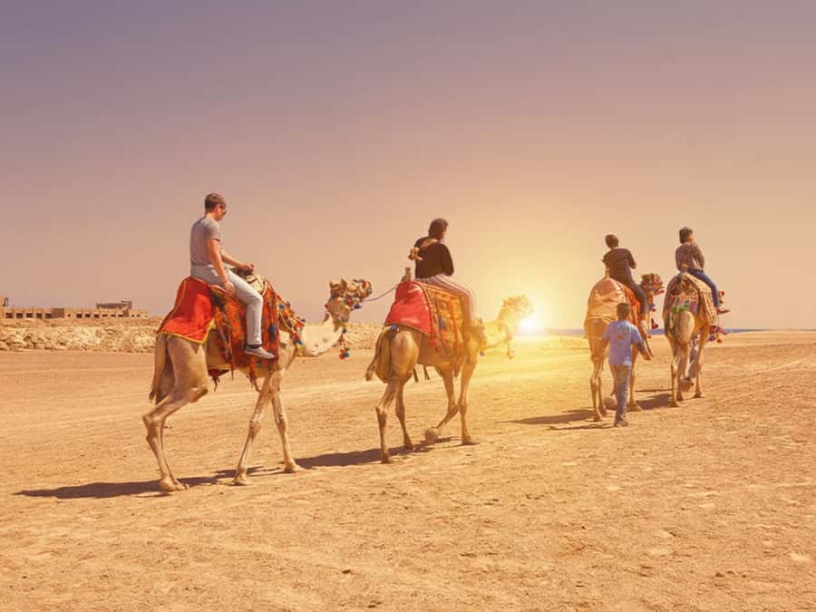 Hurghada: Sea & Desert Camel Ride w/Dinner, Show, Stargazing - Hurghada Camel Ride: Why This Adventure Works
