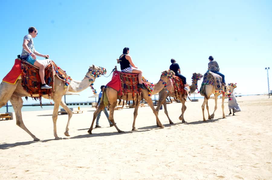 Hurghada: Sea & Desert Camel Ride w/Dinner, Show, Stargazing - Getting There: Shared Transfers, Timing, and a Quick Reality Check