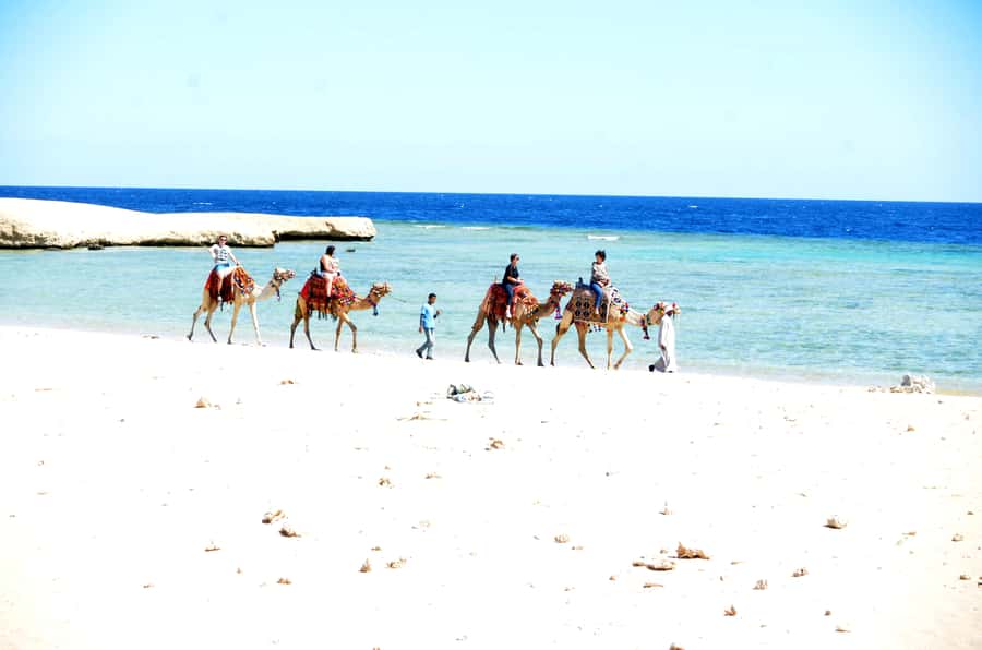 Hurghada: Sea & Desert Camel Ride w/Dinner, Show, Stargazing - The Ride Route: Desert Valleys, Sea Views, and Mountain Backdrops