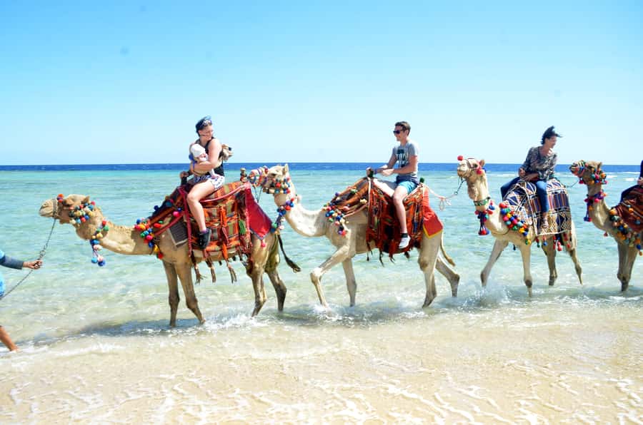 Hurghada: Sea & Desert Camel Ride w/Dinner, Show, Stargazing - The Desert Camp: Dinner, Show, and the Pace Between Parts