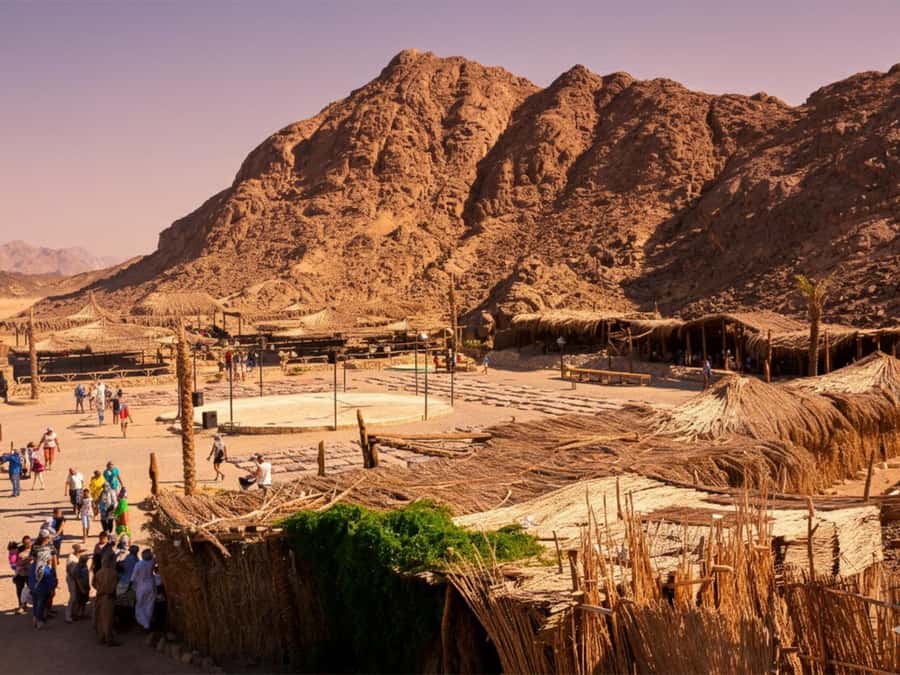 Hurghada: Sea & Desert Camel Ride w/Dinner, Show, Stargazing - Choosing the Right Time Slot: Morning Calm vs Sunset Magic