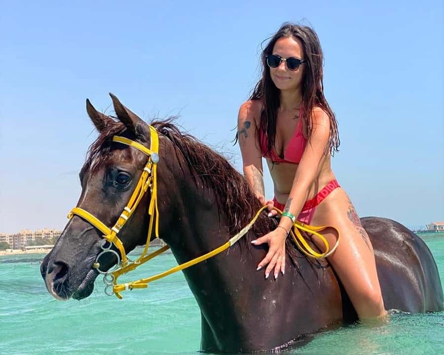 Hurghada: Sea & Desert Horse Riding tour/w Swimming&Transfer - Key things to know before you go