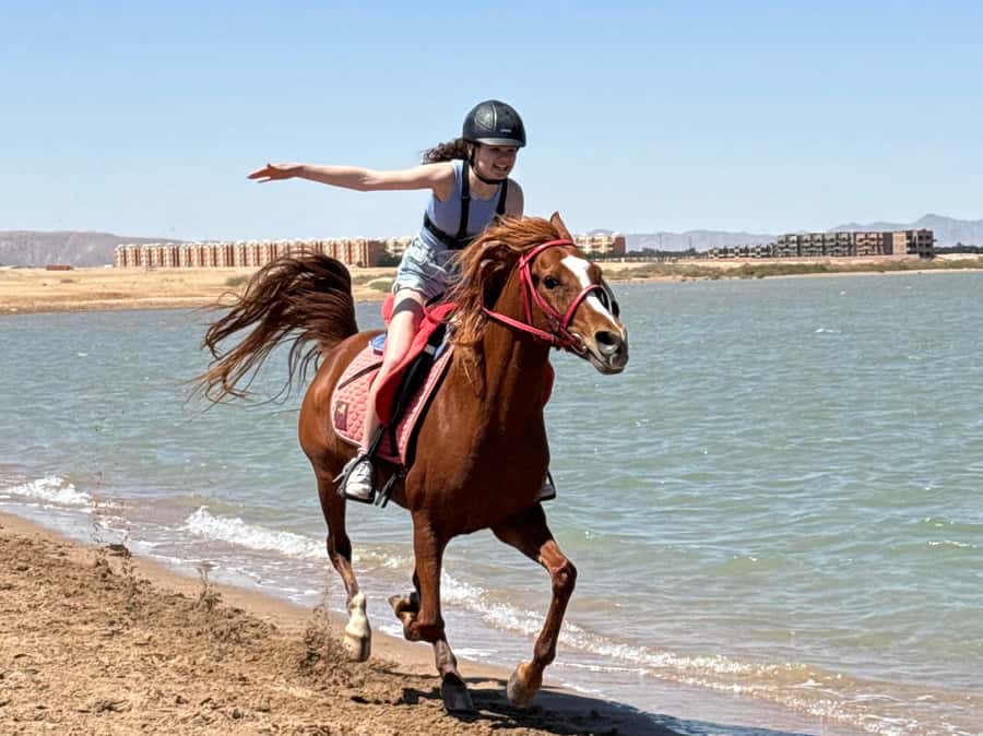 Hurghada: Sea & Desert Horse Riding tour/w Swimming&Transfer - Desert-to-Sea Thrills in Hurghada, Starting at Lucky Horses Stable