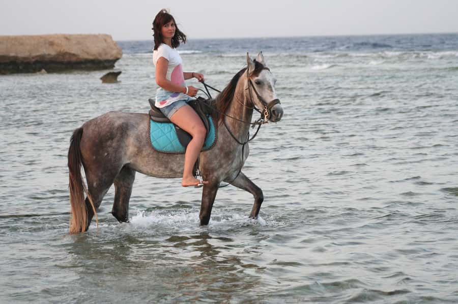 Hurghada: Sea & Desert Horse Tour, Stargazing, Dinner & Show - Key things I’d circle before you book