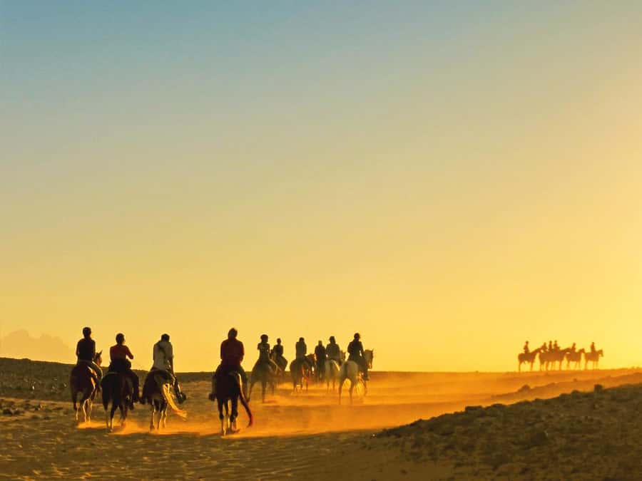 Hurghada: Sea & Desert Horse Tour, Stargazing, Dinner & Show - Pickup, Arrival, and the 15-Minute Reset Before You Ride