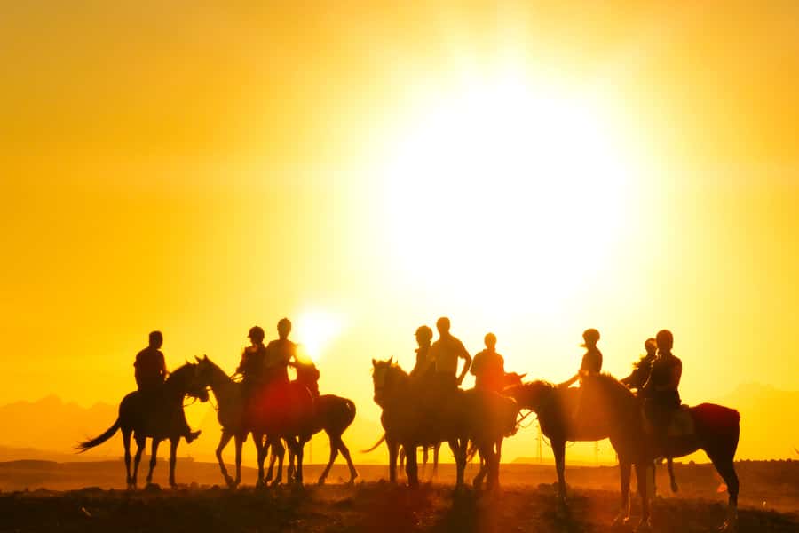 Hurghada: Sea & Desert Horse Tour, Stargazing, Dinner & Show - What You Actually Do on the 2-Hour Horse Ride
