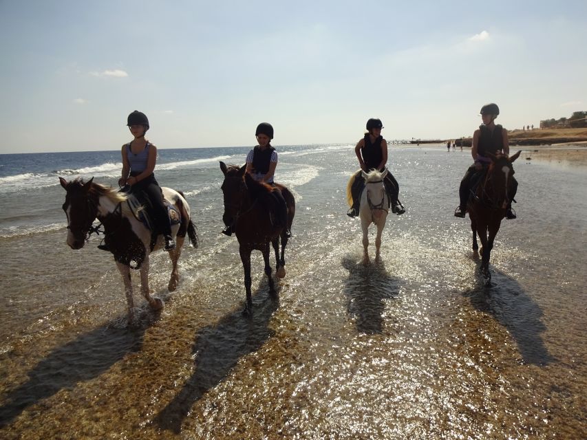Hurghada: Sea & Desert Horse Tour, Stargazing, Dinner & Show - Guide Style: Names You’ll Hear and What That Means for Your Day