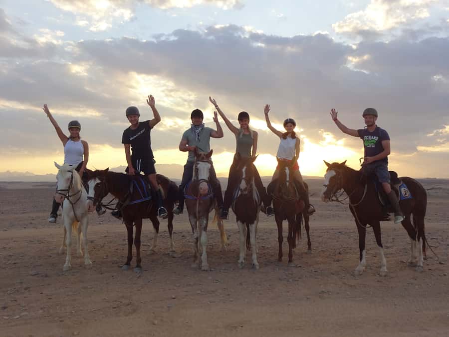 Hurghada: Sea & Desert Horse Tour, Stargazing, Dinner & Show - Choosing the Right Time Slot: Sunrise Breakfast vs Sunset Dinner and Stars