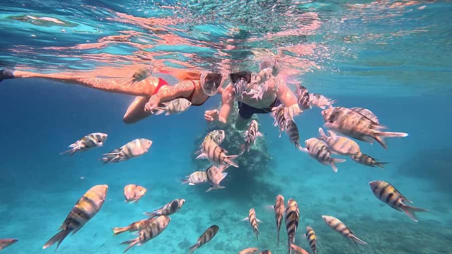 Hurghada: Snorkelling Trip by Speedboat with Hotel Pickup - Abu Mingar mangroves: where scenery meets snorkel practicality