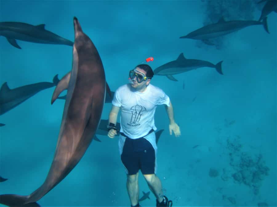 Hurghada: Speedboat Dolphin Watching & Snorkeling with Lunch - Key things I’d watch for before you go