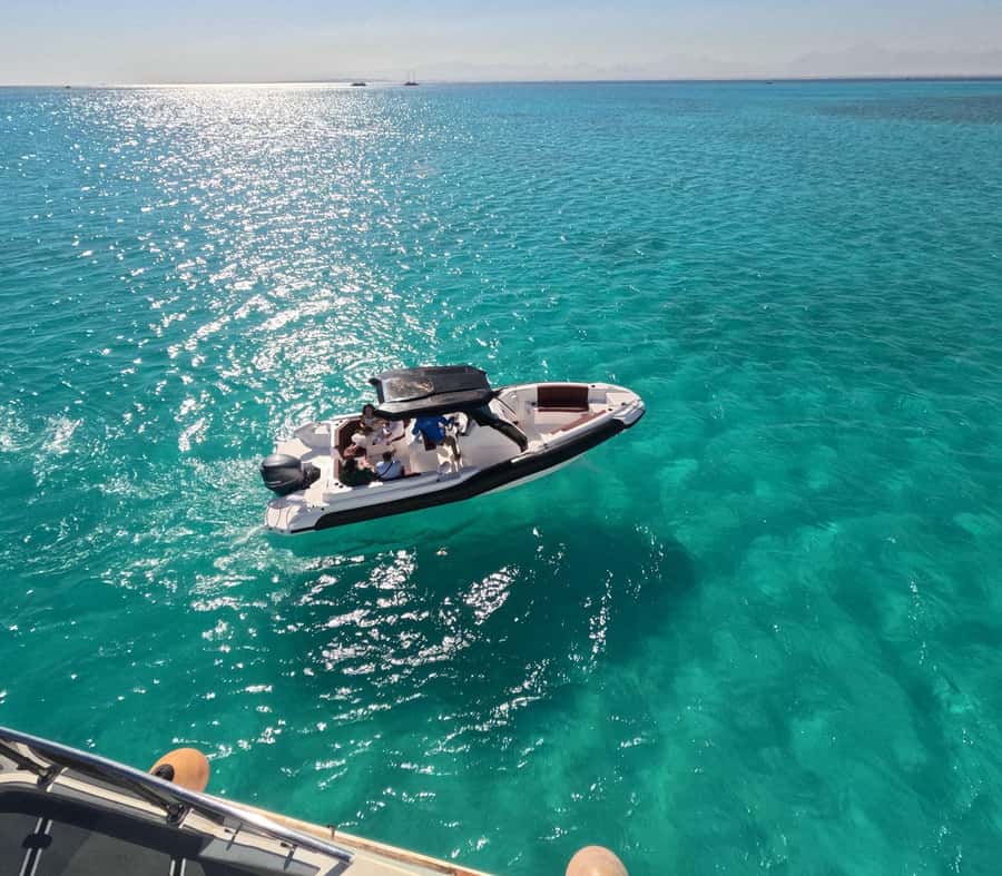Hurghada: Speedboat Dolphin Watching & Snorkeling with Lunch - Snorkeling the Red Sea: 2 or 3 Coral Stops With Real Support
