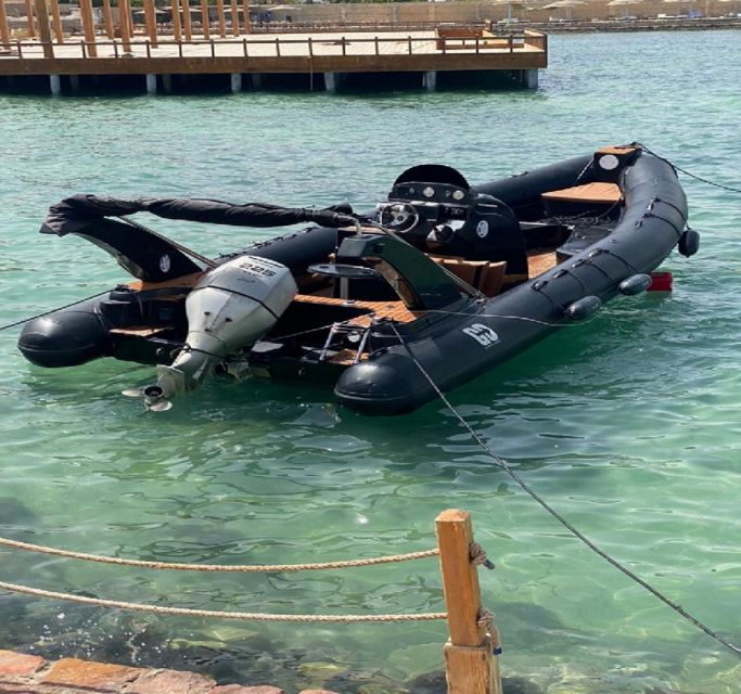 Hurghada: Speedboat Dolphin Watching & Snorkeling with Lunch - Should You Book It? My Decision Rules