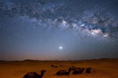 Star Watching Desert Adventure by Jeep with Dinner