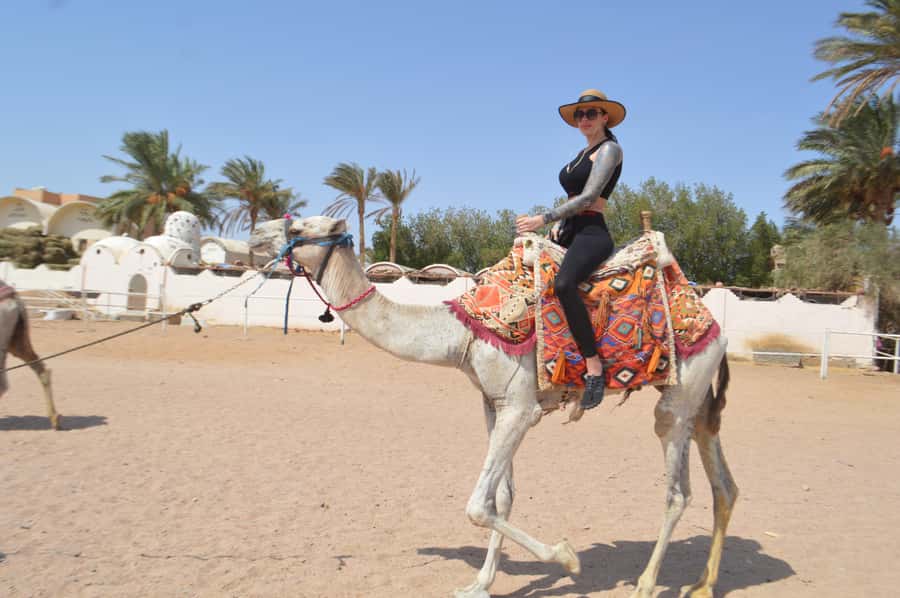Hurghada: Sunrise Quad Bike, Camel and Oriental Breakfast - The 2-hour sunrise quad ride: what it actually feels like