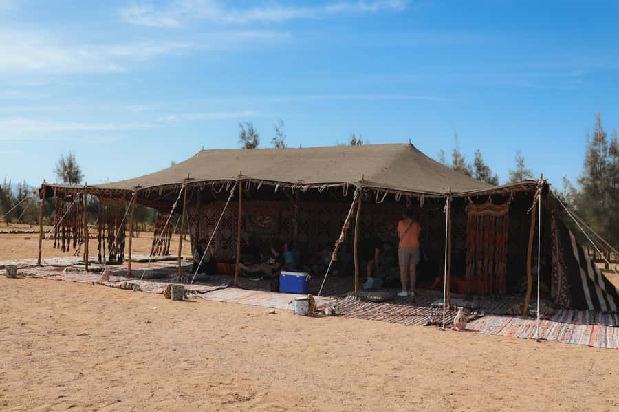 Hurghada: Sunset Camel Ride with Dinner - Dinner at the oasis: what you get and what to expect