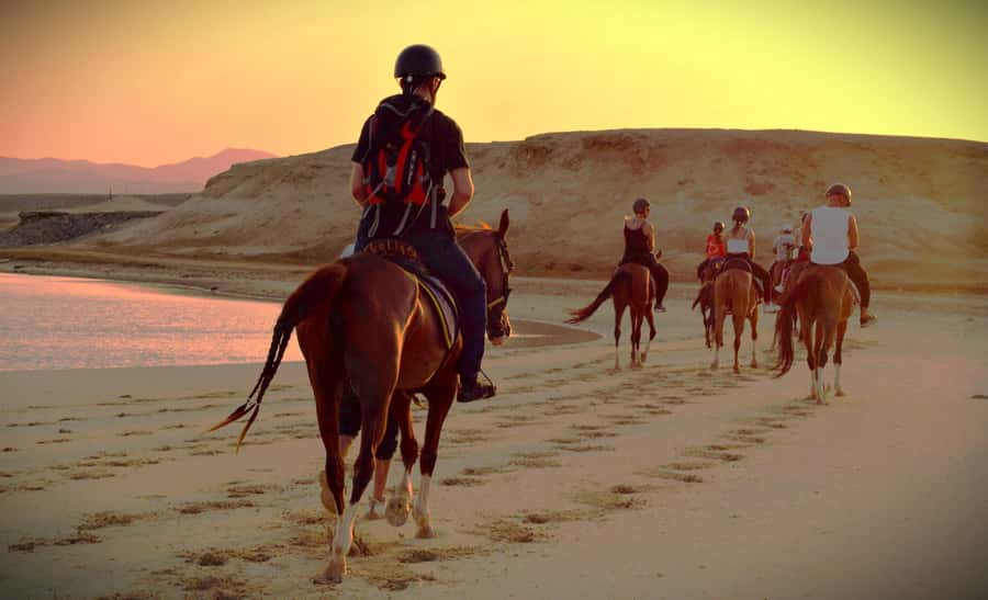 Hurghada: Sunset Sea, Desert Horse W Opt, Dinner, Stargazing - Practical Packing Tips so Your Day Goes Smooth
