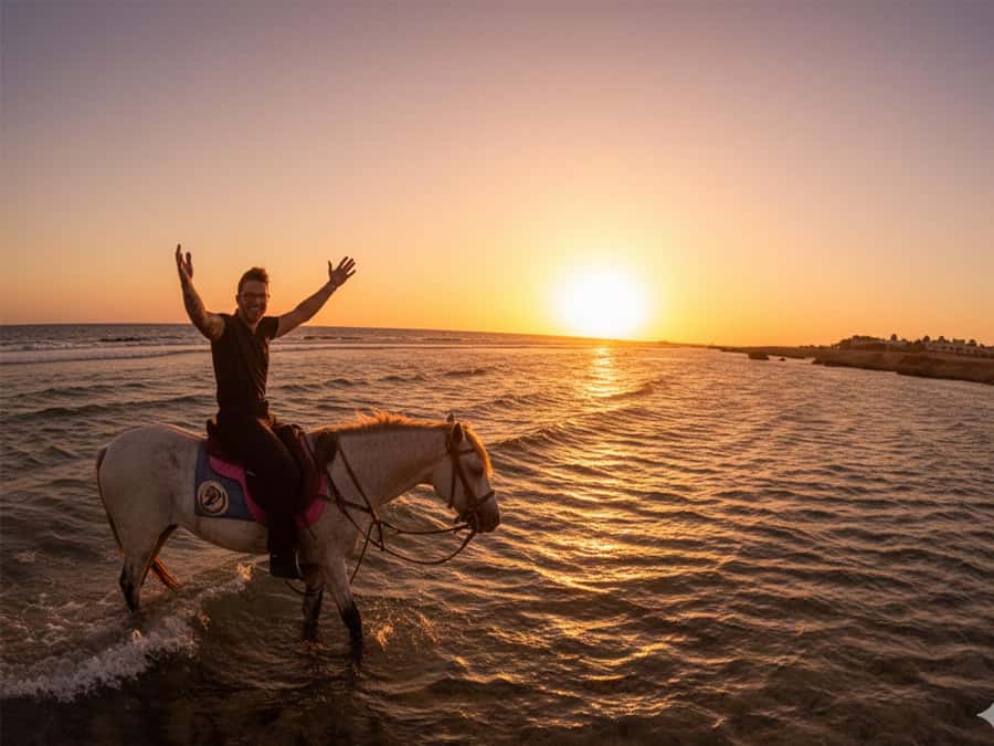 Hurghada: Sunset Sea, Desert Horse W Opt, Dinner, Stargazing - Hurghada Sunset, Desert Horses, and Red Sea Time in One Plan