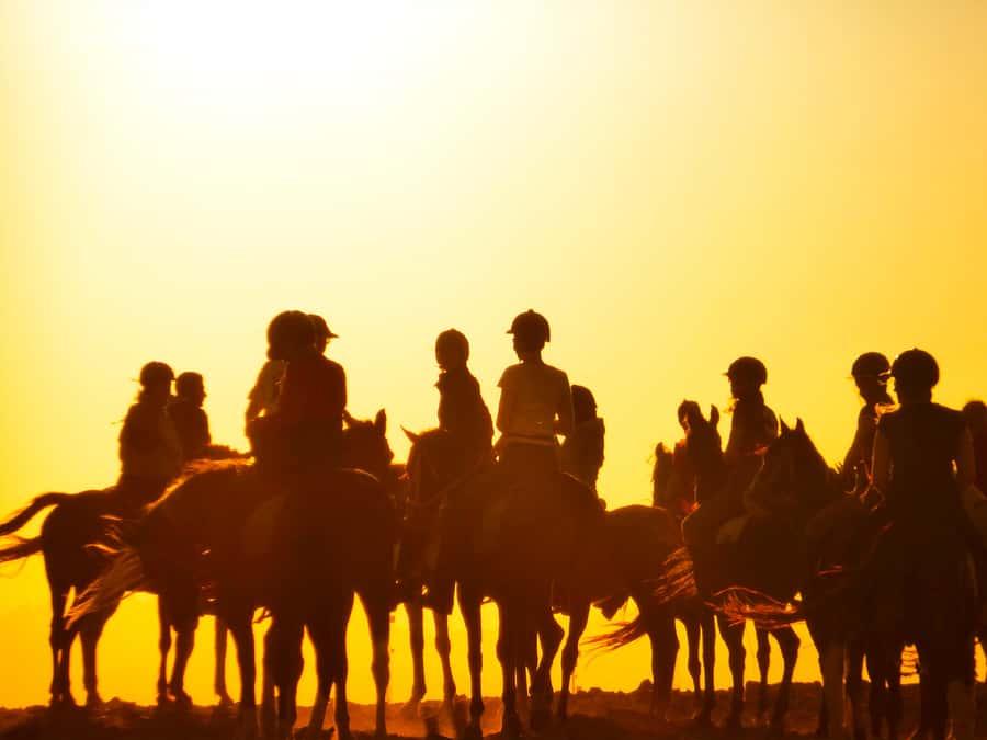 Hurghada: Sunset Sea, Desert Horse W Opt, Dinner, Stargazing - The Red Sea Cruise and Swim Stop: Why the Sea Part Is More Than Pretty Views